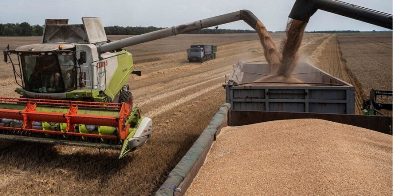 «Набридли подвійні стандарти». Західноєвропейські країни обурені запровадженням зернового ембарго на вимогу сусідів України